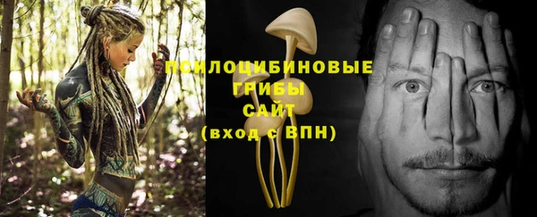 индика Усинск