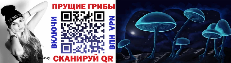 закладки  kraken ТОР  Псилоцибиновые грибы GOLDEN TEACHER  Шиханы 