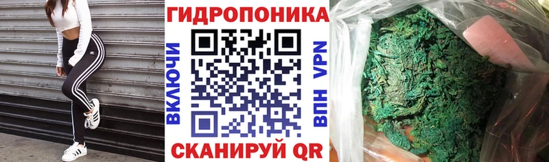 где купить наркоту  Шиханы  Канабис ГИДРОПОН 